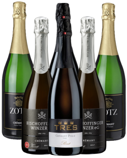 Cremant Sekt Brut Probierpaket Deutschland 6er Angebot