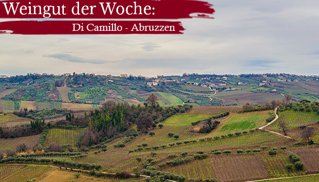 Di Camillo Weine und Angebote