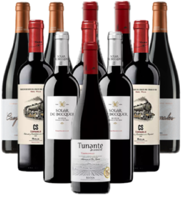 Tempranillo Rotwein Probierpaket Spanien 12er Ange