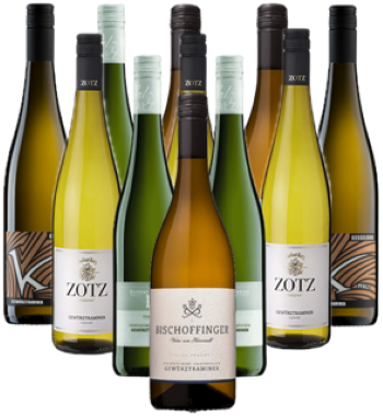 Gewürztraminer Probierpaket Weißwein Deutschland 12er Angebot