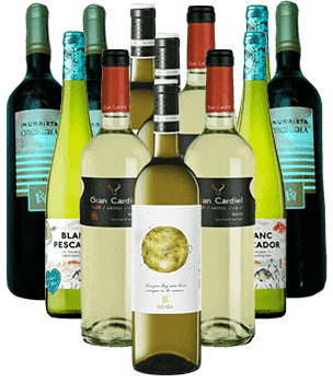 Weißwein Spanien Blanco Vino Probierpaket